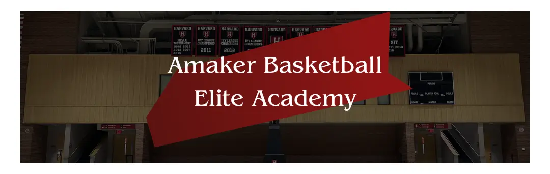 Amaker Basketball Elite Academy
